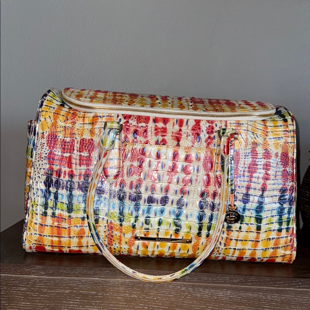 Colorful Crocodile Embossed Women's Bag NWOT